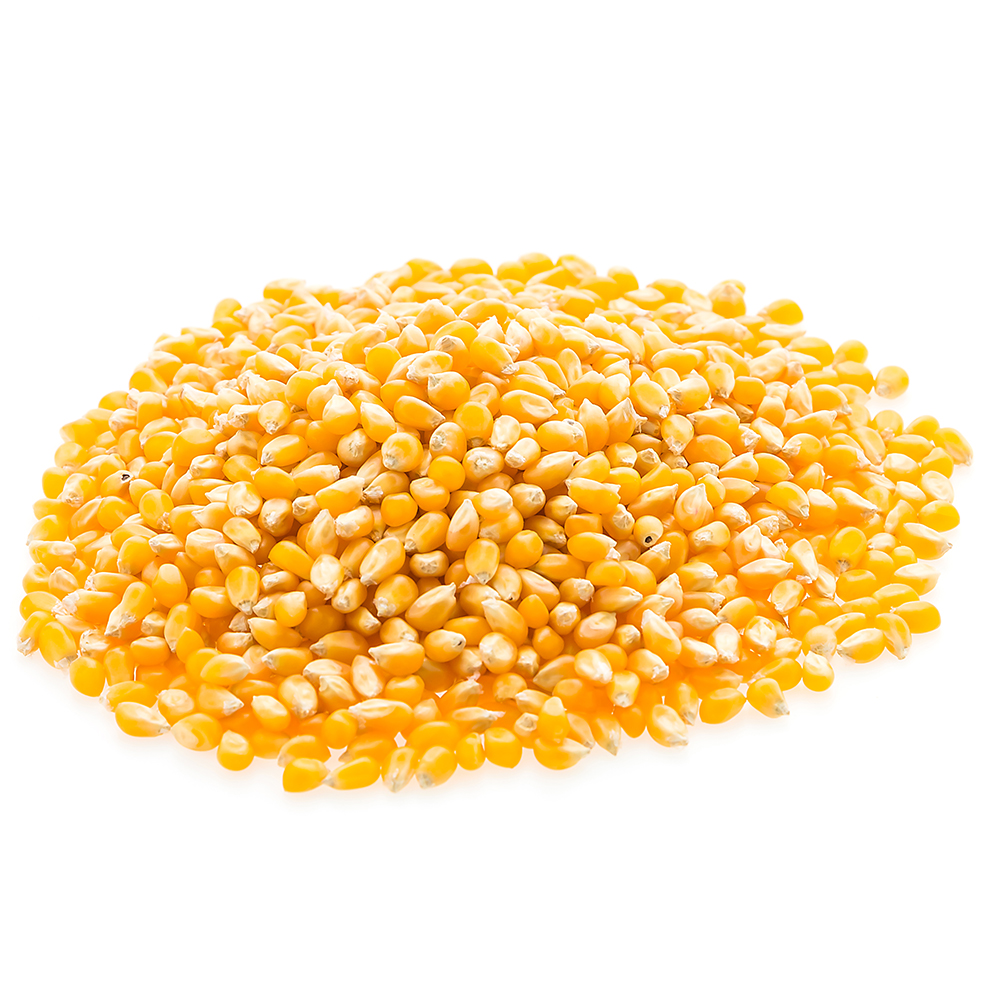 Corn - photo 4